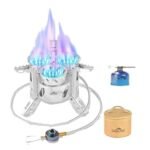 Camping gas stove