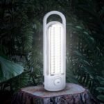 ⁦مصباح طواري⁩ - الصورة ⁦2⁩